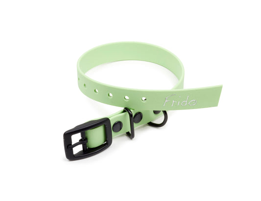 Collare per cani in Biothane® - Verde pastello - Frido