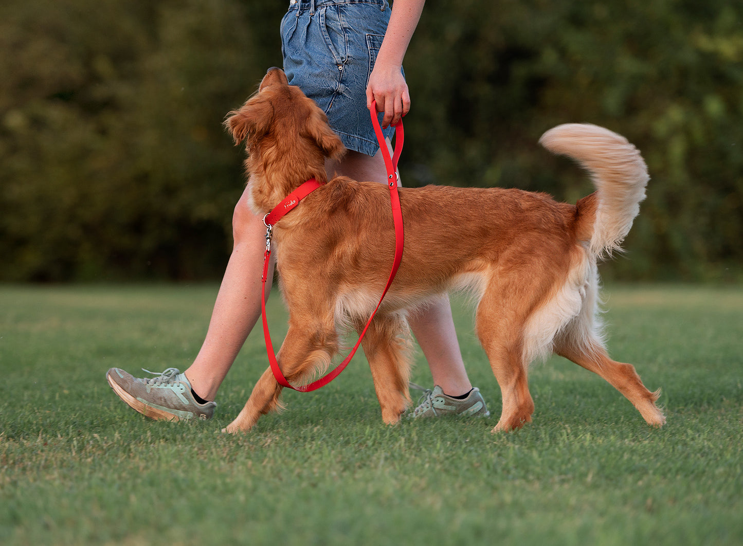 Guinzaglio per cani in Biothane® - personalizzabile - Frido