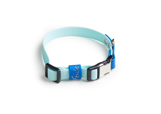 Collare per cani con clip linea Pop - Blu - Frido