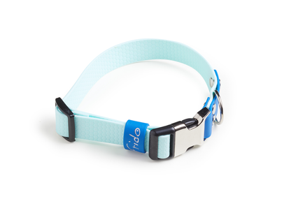 Collare per cani con clip linea Pop - Blu - Frido