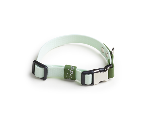 Collare per cani con clip linea Pop - Verde - Frido