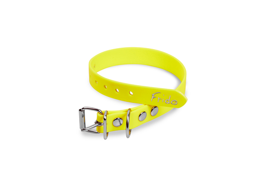 Collare per cani in fettuccia Waterproof - Giallo Fluo - Frido