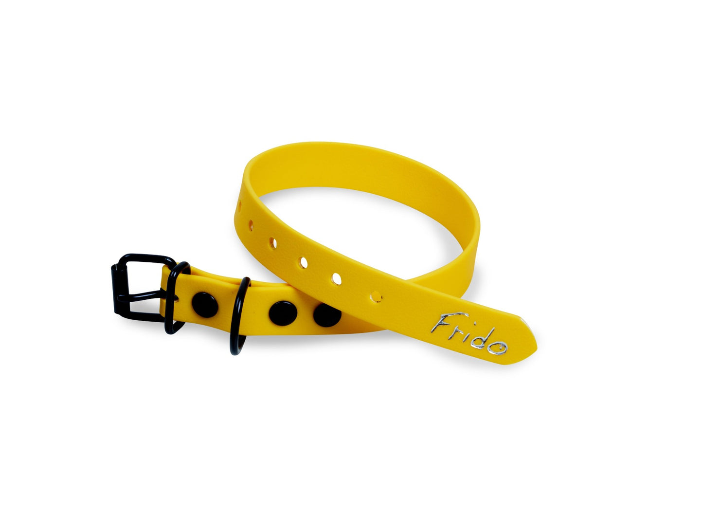 Collare per cani in fettuccia Waterproof - Giallo - Frido