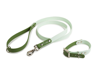 Set collare e guinzaglio per cani linea Pop - Verde - Frido