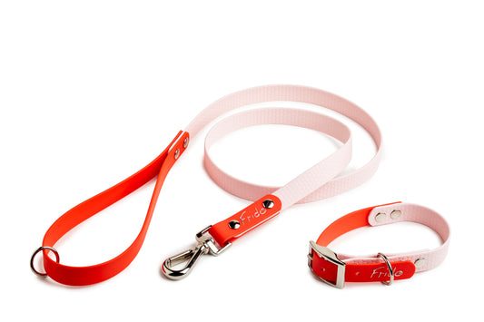 Set collare e guinzaglio per cani linea Pop - Rosso - Frido