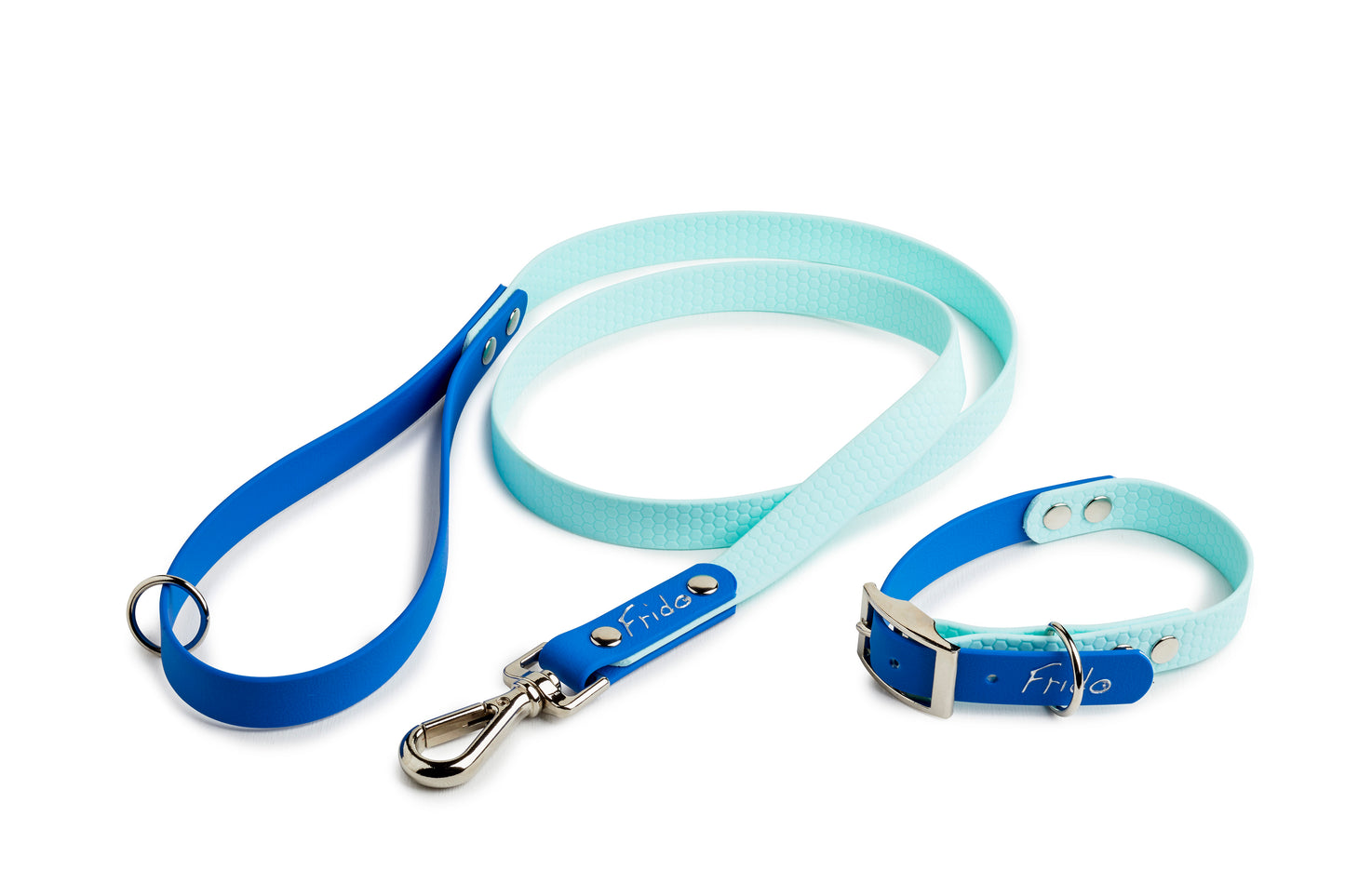 Set collare e guinzaglio per cani linea Pop - Blu - Frido