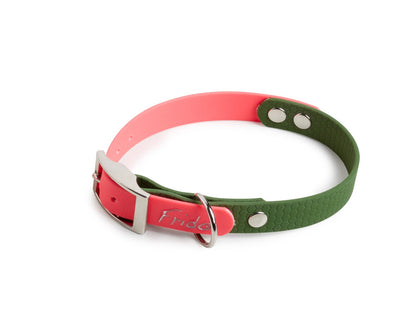 Set collare e guinzaglio per cani linea Pop - Verde militare/Rosa fluo - Frido