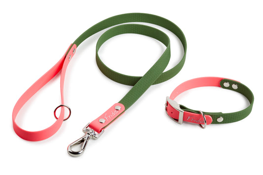 Set collare e guinzaglio per cani linea Pop - Verde militare/Rosa fluo - Frido