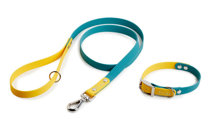 Set collare e guinzaglio per cani linea Pop - personalizzabile - Frido