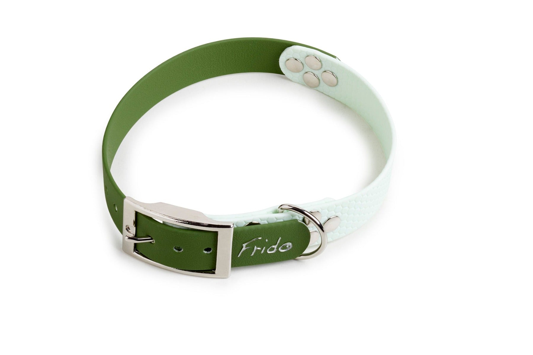 Collare per cani linea Pop - Verde - Frido