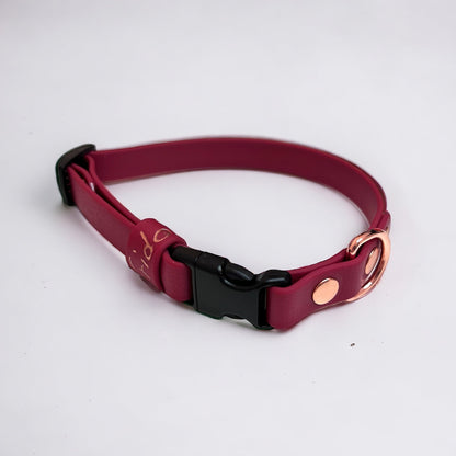 Collare per cani con clip in fettuccia Waterproof - personalizzabile - Frido