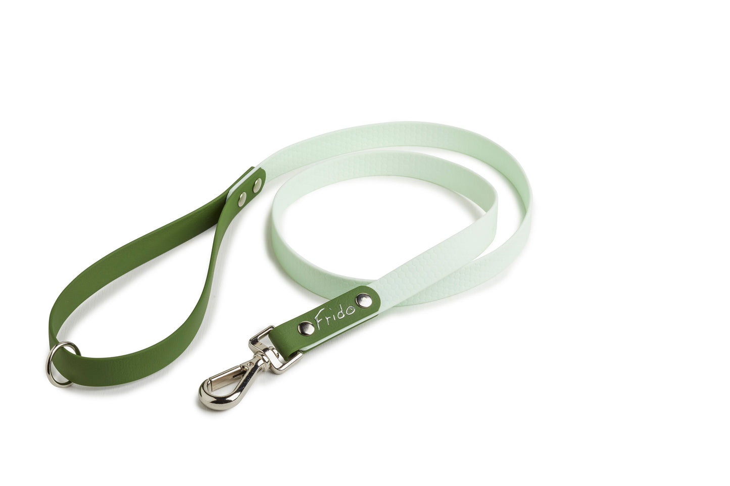 Set collare e guinzaglio per cani linea Pop - Verde - Frido